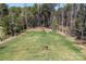 An aerial view of the large backyard with a tree and soccer goal on a lot surrounded by woods at 8039 Mcconnell Rd, Denver, NC 28037