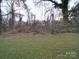 Wooded area behind the house at 2996 Shady Ln, Charlotte, NC 28208