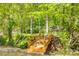 Wooden footbridge crossing a small stream in a wooded area at 3319 Mill Pond Rd, Charlotte, NC 28226