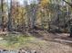 Wooded backyard providing a private, natural setting at 8905 Vagabond Rd, Charlotte, NC 28227