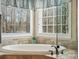 Relaxing bathtub featuring garden views and designer fixtures at 4006 Sincerity Rd, Monroe, NC 28110