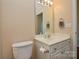 Bathroom vanity with sink and mirror at 6132 Pale Moss Ln, Charlotte, NC 28269