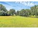 Large grassy land area with a row of trees in the background under a blue sky at 1769 Old Nc 27 Hwy, Mount Holly, NC 28120