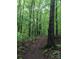 Scenic walking trail through the property's wooded area. Perfect for nature enthusiasts at 1769 Old Nc 27 Hwy, Mount Holly, NC 28120