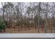 View from the deck railing overlooking the wooded backyard property line in a natural setting at 6726 Wannamaker Ln, Charlotte, NC 28226