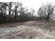 Wide open backyard with a mix of trees and space at 868 Monarch Pl, Kershaw, SC 29067