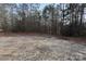 View of the large backyard with a backdrop of towering mature trees at 868 Monarch Pl, Kershaw, SC 29067