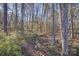 Wooded area with mature trees, natural undergrowth, and a serene atmosphere at 17627 Caddy Ct, Charlotte, NC 28278