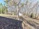 Large backyard showing the storage shed and a wood storage shelter amidst mature trees at 1830 Light Brigade Dr, Matthews, NC 28105