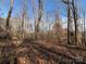 A wooded lot with a thick bed of fallen leaves at 1830 Light Brigade Dr, Matthews, NC 28105