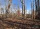 Image showcases wooded land with bare trees and fallen leaves, offering a natural and serene setting at 1830 Light Brigade Dr, Matthews, NC 28105