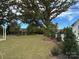 An open community green space with a line of young trees on the back of the lawn at 384 Bly St, Rock Hill, SC 29732