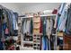 Large walk-in closet with shelving and hanging space at 13917 Sugar Oats Ln, Charlotte, NC 28213