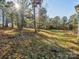 Landscaped backyard, showcasing a mix of grass and mature trees at 1744 White Fawn Ln, Rock Hill, SC 29730