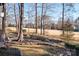 Landscaped backyard with stone wall and mature trees at 19216 Wildcat Trl, Davidson, NC 28036