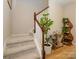 Elegant staircase with wood railing and decorative shelving at 810 Ayrshire Ave, Fort Mill, SC 29708