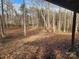 Wooded backyard view from under a covered porch at 4766 Dolph Monroe Rd, Maiden, NC 28650