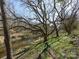 A tranquil creek winding through lush trees, offering a serene escape into nature's beauty and peaceful ambiance at 7037 Wrentree Dr, Charlotte, NC 28210