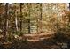 Picturesque nature trail winding through a wooded area with autumn leaves at 7050 Wayfarer Dr # 0085, Charlotte, NC 28269