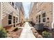 Sidewalk view between modern townhomes with brick and siding exteriors and manicured landscaping at 3713 Lou Ann Ave, Charlotte, NC 28208