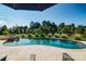 Luxury kidney-shaped pool with spa and expansive backyard views at 11112 Benjamin Smith Ave, Huntersville, NC 28078