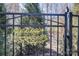 Black metal gate to the Secret Garden at 4010 Soleado Dr, Matthews, NC 28104