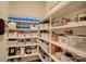 Well-organized pantry with ample shelving for storage at 4010 Soleado Dr, Matthews, NC 28104