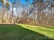 Sunny backyard with lush green grass and mature trees at 14916 Oregon Oak Ct, Mint Hill, NC 28227