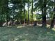 View of backyard featuring several trees, a grassy lawn, and a wood fence at 9624 Langston Mill Rd, Charlotte, NC 28216