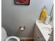 Small half bathroom with a single sink and toilet at 9624 Langston Mill Rd, Charlotte, NC 28216