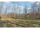 Wooded area with grassy yard and gate at 34466 Lisa Dr, Albemarle, NC 28001