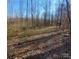 Open wooded area with leaf-covered ground at 34466 Lisa Dr, Albemarle, NC 28001