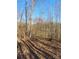 Wooded area with leaf-covered ground and shadows at 34466 Lisa Dr, Albemarle, NC 28001