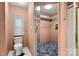 Bathroom with toilet, closet, and shower at 7933 Cherry Point Dr, Denver, NC 28037