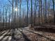 Driveway leading through a wooded area at 311 Chase Dr, Iron Station, NC 28080