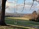Swing hanging from a tree with scenic mountain views at 50 Berea Church Quincy Rd, Hiddenite, NC 28636