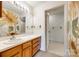 Bathroom with sunflower mural, wood vanity, and toilet at 5843 Harris Grove Ln, Charlotte, NC 28212