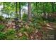 Backyard with a rock garden and small waterfall feature surrounded by lush greenery creating a tranquil garden oasis at 92 Heritage Dr, Clover, SC 29710