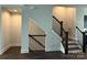 Open staircase featuring dark wood rails and banisters, with carpeted steps leading to multiple levels in a modern home at 1227 E 34Th St # Csw0420, Charlotte, NC 28205