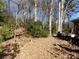 Wooded backyard with rock and leaf covered ground at 5514 Grafton Pl, Charlotte, NC 28212