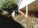 Partial view of house exterior and backyard at 5514 Grafton Pl, Charlotte, NC 28212