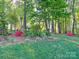 Landscaped backyard featuring trees, bushes, and green lawn at 161 Picwyck Dr, Mooresville, NC 28115