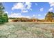 Large backyard with trees and sheds at 5517 Cyrus Lee Ln, Monroe, NC 28110