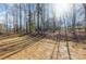 Wooded backyard offers privacy and shade at 108 Robinson Dr, Cherryville, NC 28021