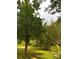 Beautiful yard featuring mature trees, enhancing the landscape and providing shade at 16415 Capps Rd, Charlotte, NC 28278