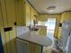 Yellow kitchen with painted cabinets and appliances at 194 W Waterlynn Rd, Mooresville, NC 28117