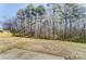Large backyard with wooded area and a concrete patio at 3043 Streamlet Way, Monroe, NC 28110