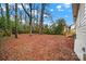 Spacious backyard with mature trees at 409 Jones S Ave, Rock Hill, SC 29730