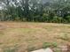 Large backyard with mature trees and unlandscaped area at 285 E Steele St, Salisbury, NC 28144
