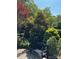 Landscaped garden with a bench, featuring magnolia tree at 4807 Cambridge Crescent Dr, Charlotte, NC 28226